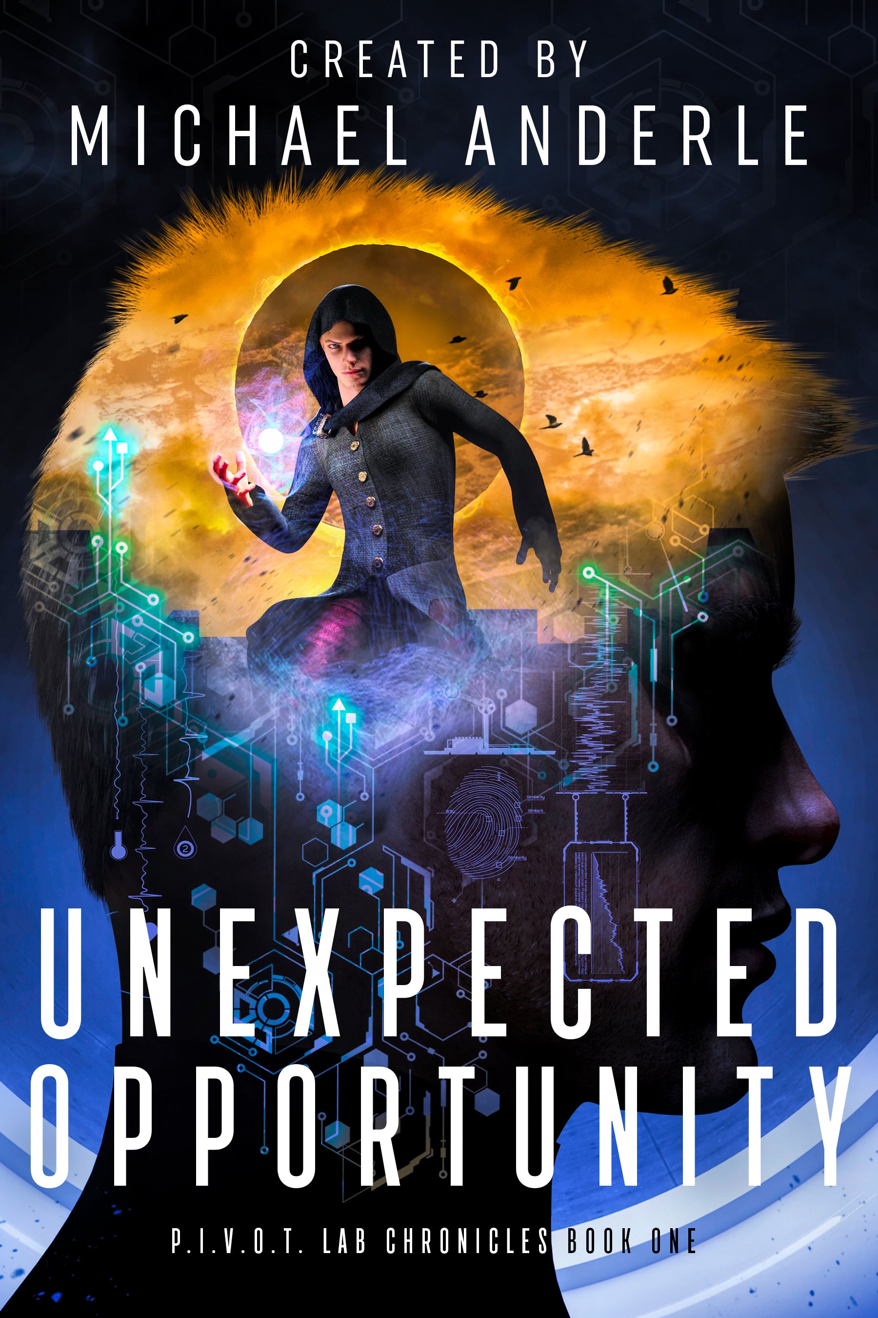 Book 1: Unexpected Opportunity