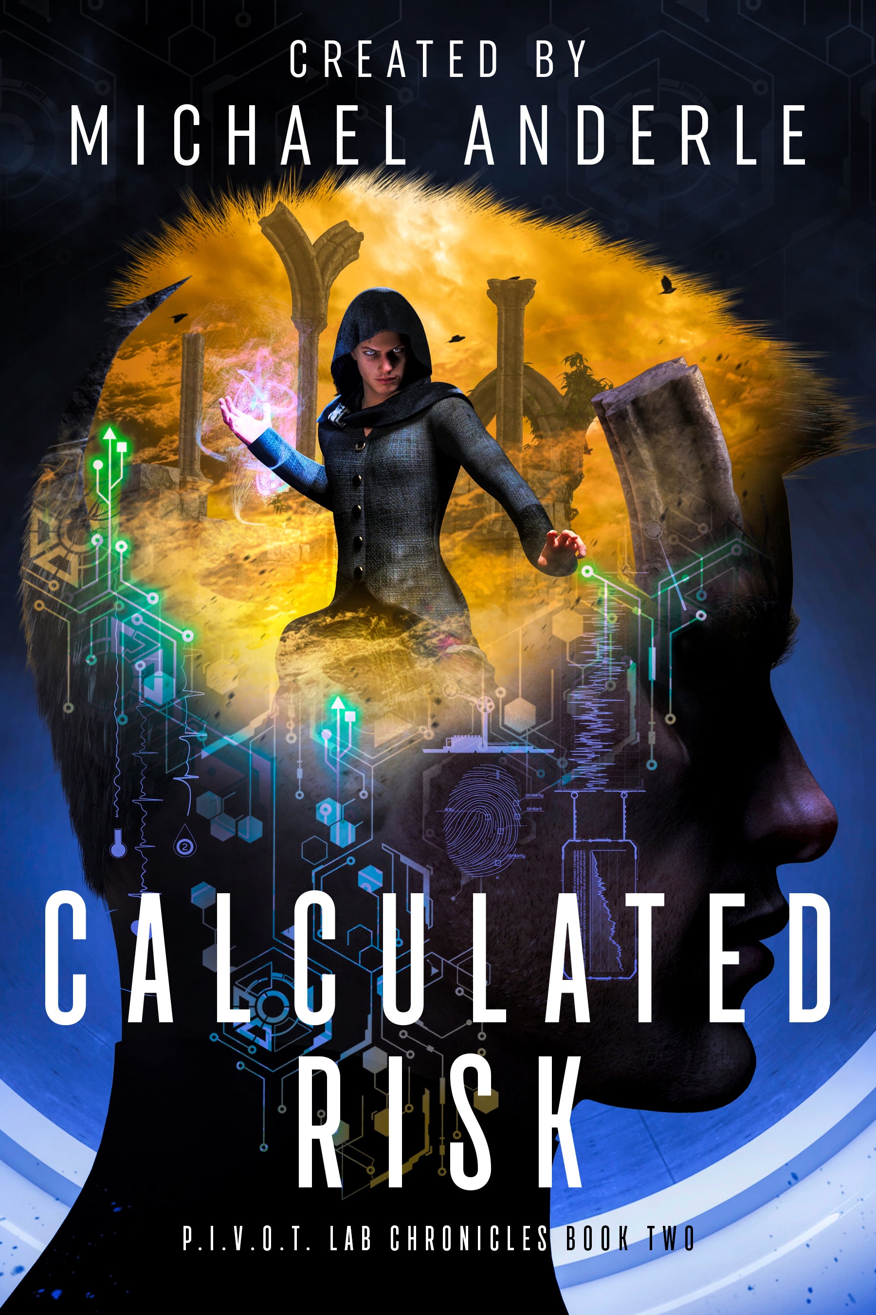 Book 2: Calculated Risk