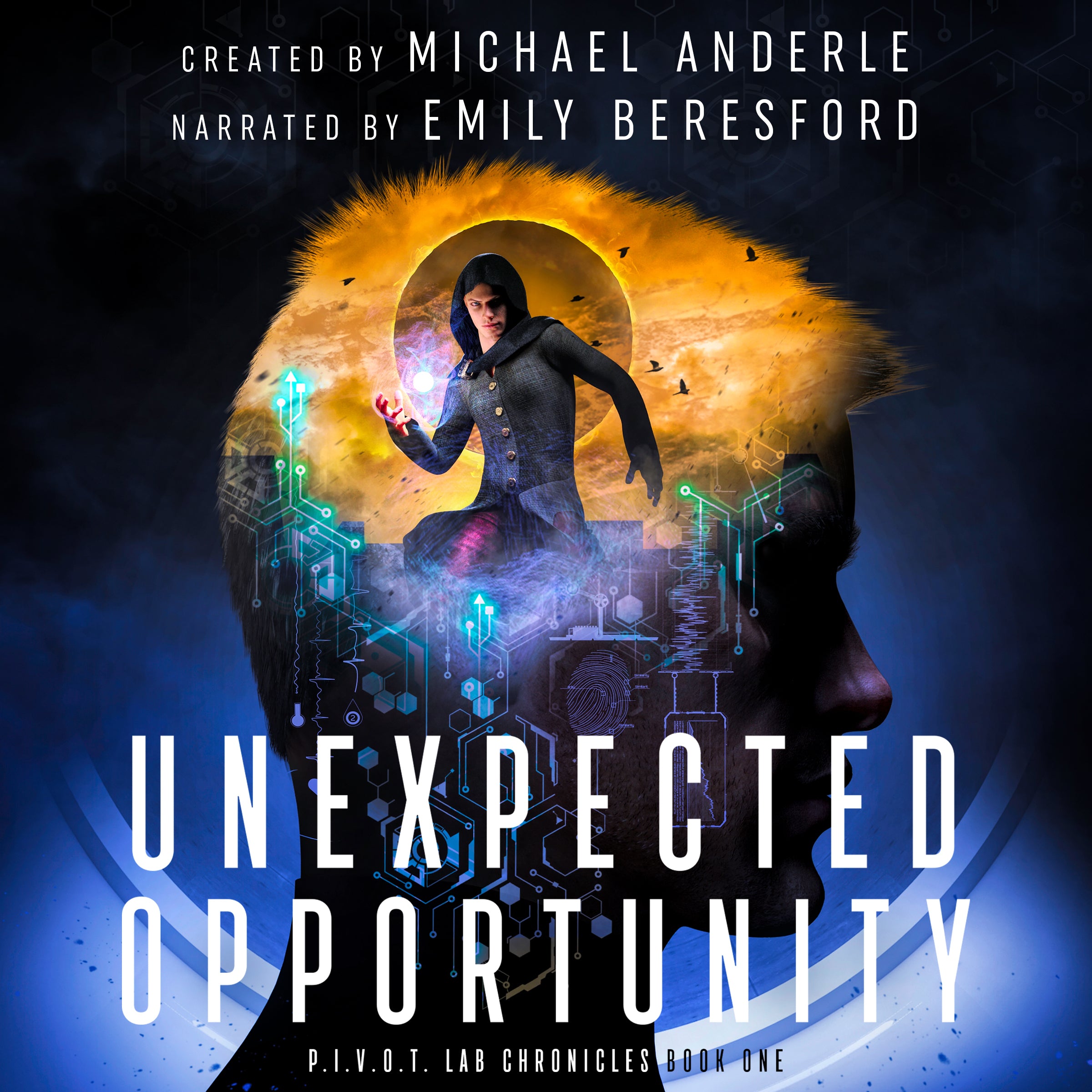 Book 1: Unexpected Opportunity Audiobook