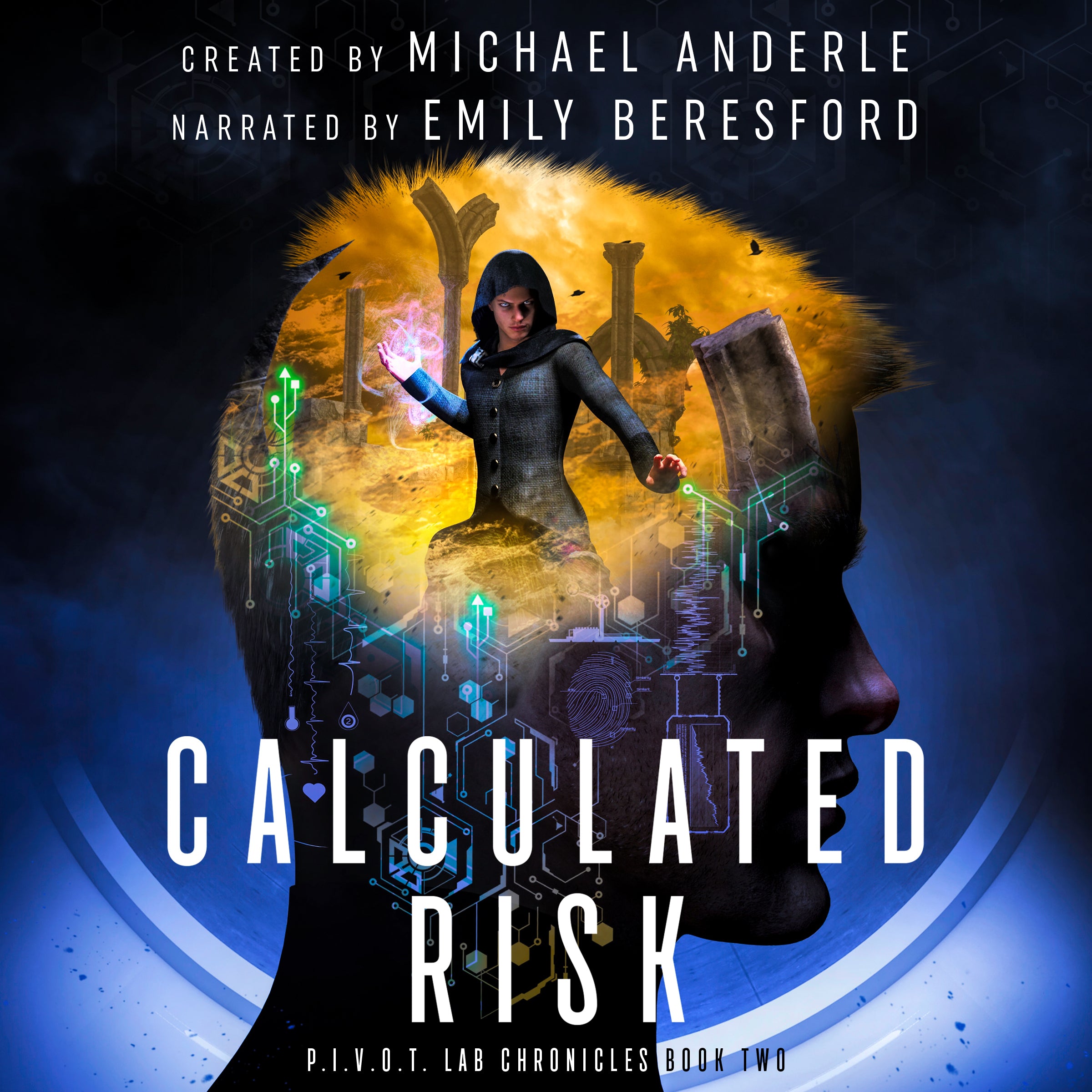 Book 2: Calculated Risk Audiobook