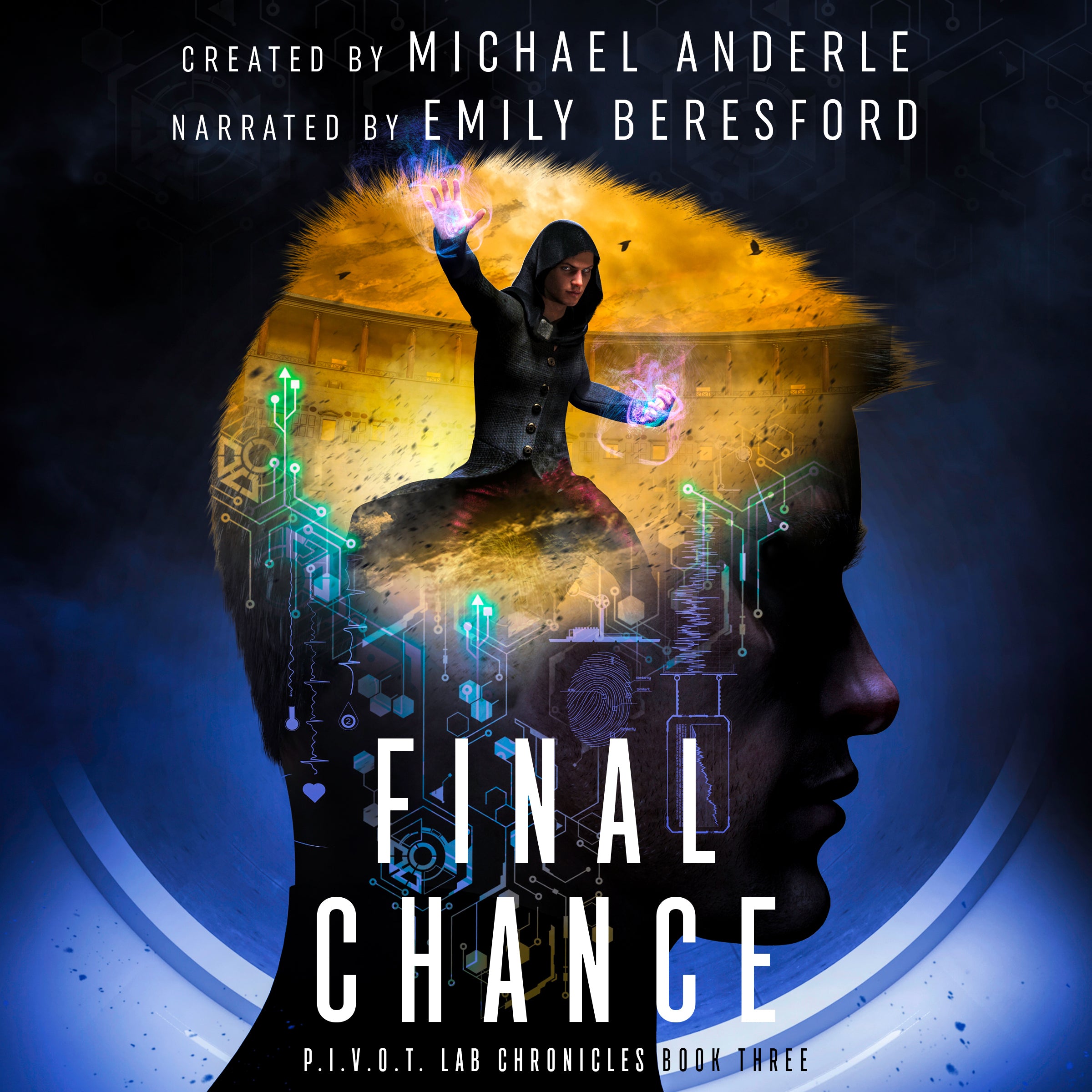 Book 3: Final Chance Audiobook